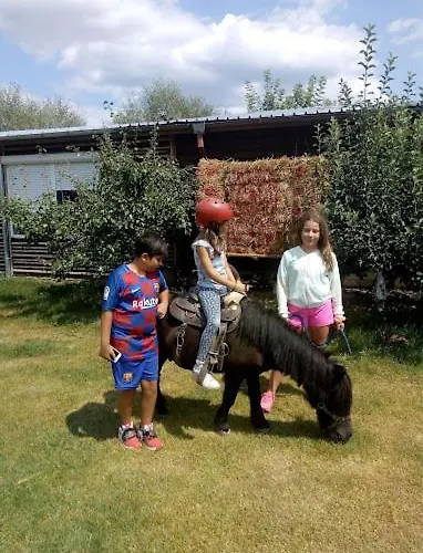 公寓 4 韦林格勒